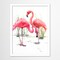 Flamingos  by Suren Nersisyan  Framed Print - Americanflat